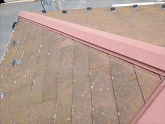 防水性の低下により苔・藻・カビが発生したスレート屋根