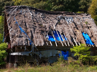 崩壊した川葺き屋根