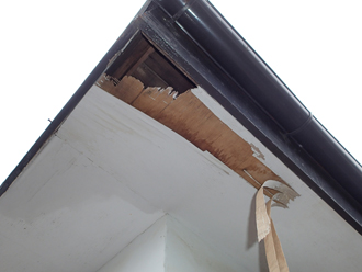 軒天とは 劣化状態とメンテナンス方法をご紹介