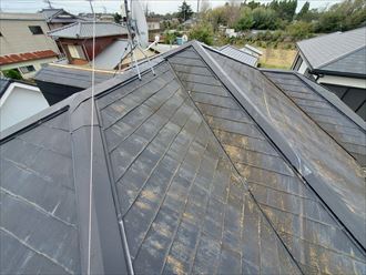 屋根塗装が剥がれ苔・藻・カビが発生