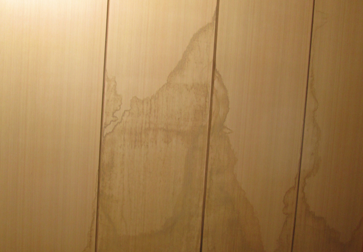 天井から雨漏りしていませんか その原因と応急処置 補修方法について街の屋根やさんがご紹介