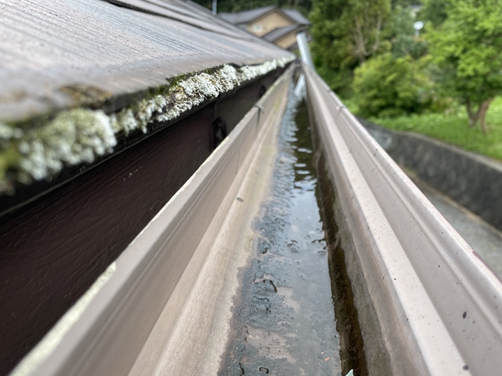 雨樋に水が溜まっている