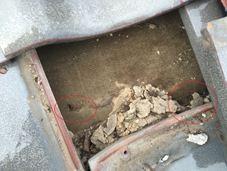 防水紙の穴空き、雨漏りの原因