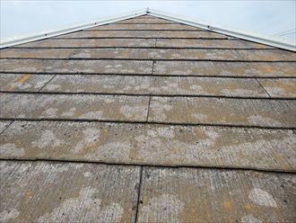 塗膜が劣化し苔・藻・カビが発生しているスレート屋根の調査