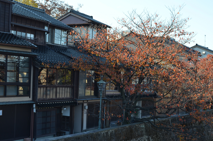 セメント瓦とは 瓦の種類やメンテナンス方法についてご紹介します