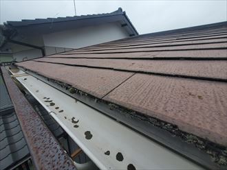 スレート屋根の防水性が低下し軒先に苔が発生しています