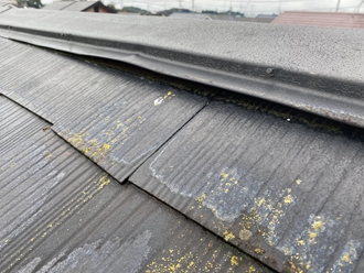 富里市七栄にて棟板金の浮きと縁切り不足、屋根塗装工事が必要でした