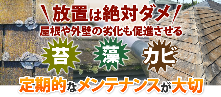 屋根や外壁の劣化を促進させる苔 藻 カビの放置は絶対ダメ 屋根や外壁の劣化を促進させる苔 藻 カビの放置は絶対ダメ