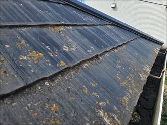 習志野市藤崎にて塗膜が剥がれたスレート屋根調査