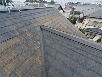 千葉市若葉区にて苔が発生しているスレート屋根の調査の様子