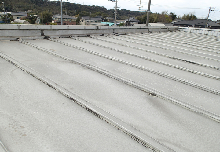 雨漏りの発生している瓦棒陸屋根