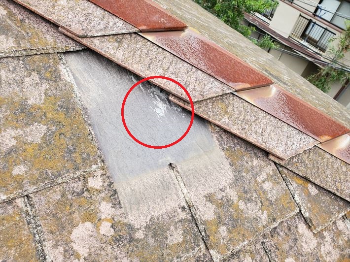 屋根材を固定している釘が露出すると雨漏りに繋がります