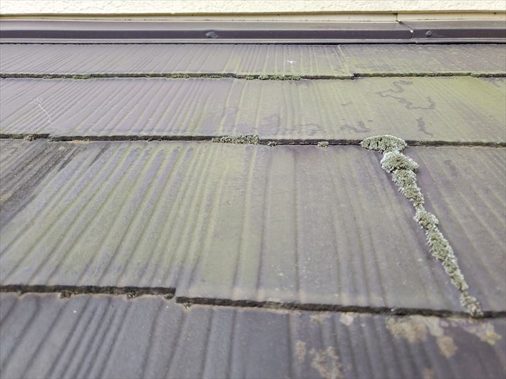 スレート屋根の下屋根に苔が発生