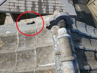 棟の漆喰が剥がれています