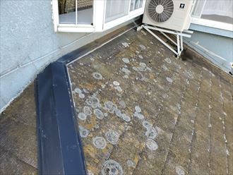 防水性が低下し苔・藻・カビが発生したスレート屋根調査