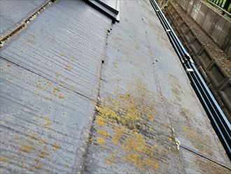防水性が低下してスレート屋根に苔が発生