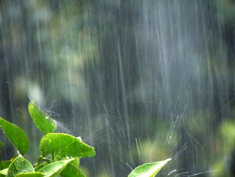 雨漏りは雨天又は翌日に発生する