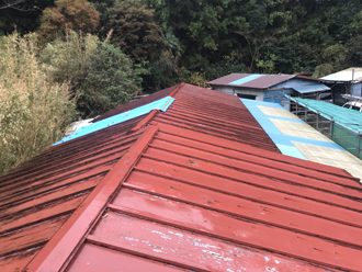 雨漏りが発生したトタン屋根の調査