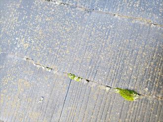 スレートが重なる部分の苔は雨漏りに繋がります