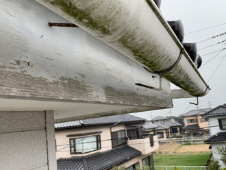 雨樋の状態