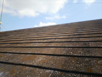 スレート屋根の防水性が低下し苔・藻・カビが発生しています