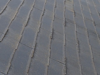 屋根全体