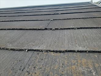 防水性が低下して苔が発生しているスレート屋根の調査