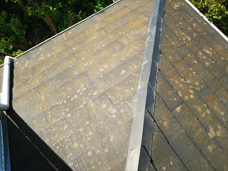 防水性が低下し苔が発生しているスレート屋根