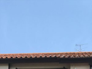 下から屋根の状況確認