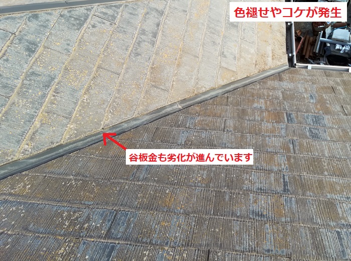 屋根全体にコケ