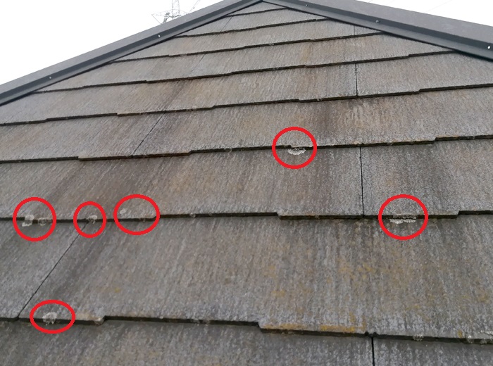 屋根の塗装が劣化