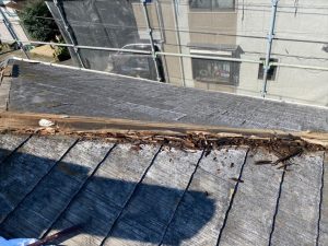木下地貫板の腐食