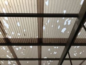 雹被害を受けた波板屋根