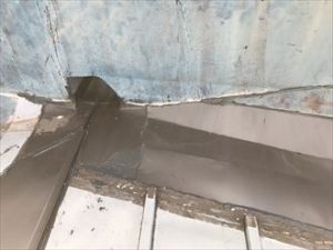 どぶのメンテナンス