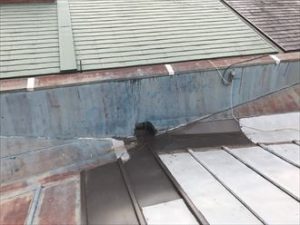 隣家との境界も処置が必要
