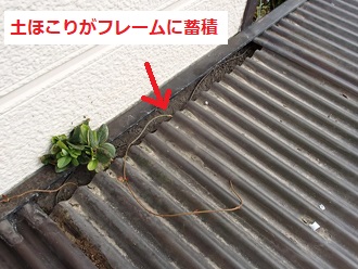 隙間に土ほこり