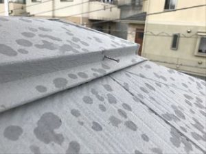 棟板金の釘の緩み