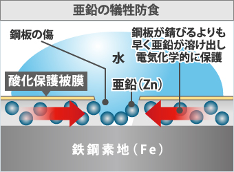 亜鉛の犠牲防食