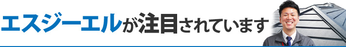 エスジーエルが注目されています