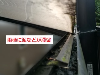 雨樋泥