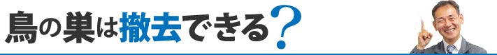 鳥の巣は撤去できる？