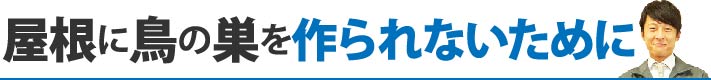 屋根に鳥の巣を作られないために