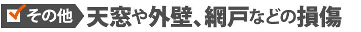 その他：天窓や外壁、網戸などの損傷