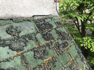 下屋根のアスファルトシングル材の劣化