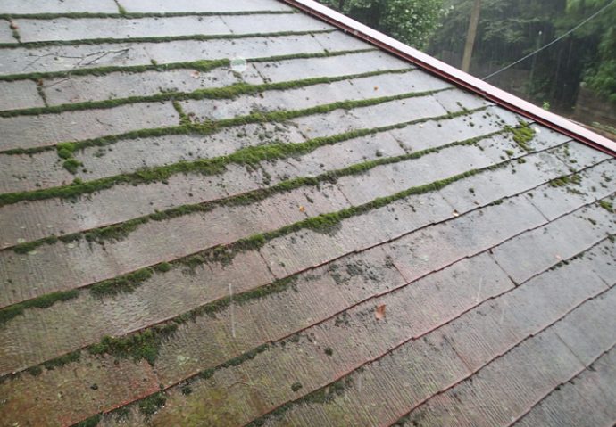 苔の繁殖したスレート屋根