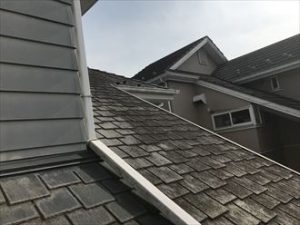 屋根の汚れの付着