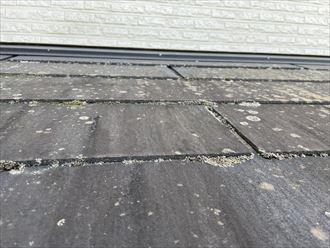 汚れた屋根