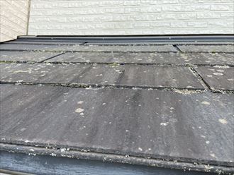 汚れた屋根