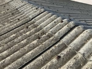 小波スレート屋根の現状調査
