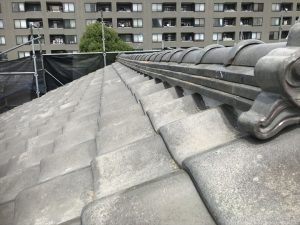 棟取り直し工事の完了